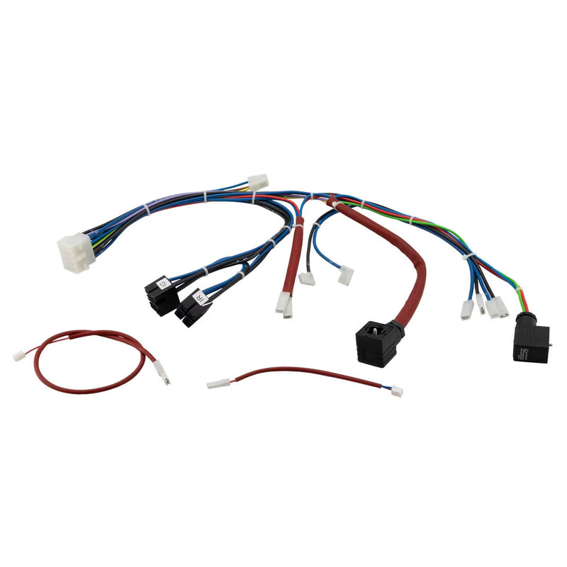 Rancilio Epoca E One Group Wiring Harness (Special Order Item)